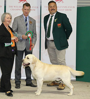 Ms S Lambert Ch Mattand Exodus JW with group judge Mr J S Thirlwell & Mr R Stafford (Committee)