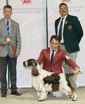 Mr E Casey & Mr C Cavallo Aust Supreme Ch Sh Ch Sandicam The Look Of Love with group judge Mr J S Thirlwell & Mr R Stafford (Committee)