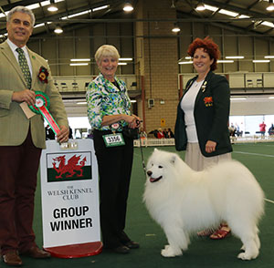 Mrs V Freer & Mrs S Smith Ch Nikara Diamond Dancer JW with group judge with group judge Dr T Jakkel & Miss A Rees (Committee)