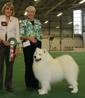 Mrs V Freer & Mrs S Smith Ch Nikara Diamond Dancer JW with veteran judge Mrs V Phillips