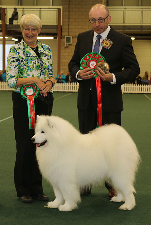 Mrs V Freer & Mrs S Smith Ch Nikara Diamond Dancer JW with BIS judge Mr S Plane 