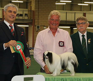 Mr A Allcock MBE Ch Sleepyhollow Robson JW Sh.CM with grop judge Dr T Jakkel & Mr T M Evans (Asst Show Manager)) 