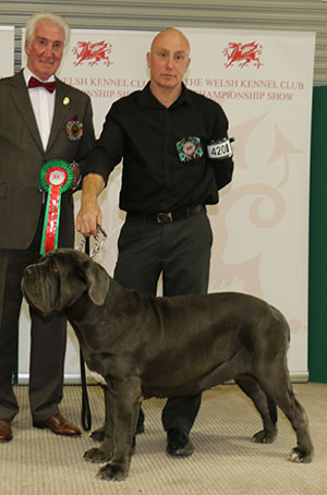 Mr M & Mrs Z Spilsbury, Miss K Slater & M Mafi Regina Maestra Opeli with group judge Mr S Mallard