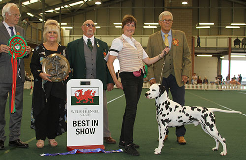 Mrs S Neath-Duggan & Miss S Baker Ch Buffrey Incognito By Dalleaf JW with BIS judge Mr P Green, Mr I G Williams (Vice Chairman) & Mr K S Wilberg 