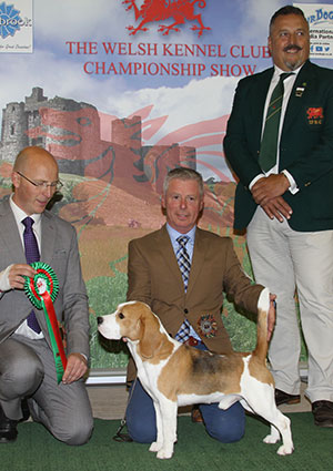 Messrs T & S Jones & Jepson Ch Eardley Les Canoodle with group judge Mr G Robertson & Mr R Stafford (Committee)