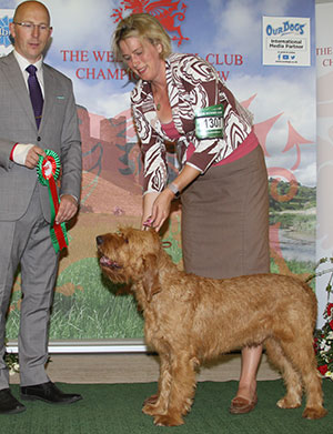 Mrs J McDonald - Ulliott Hibeck Dino with group judge Mr G Robertson