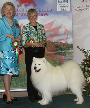 Mrs V Freer & Mrs S Smith Ch Nikara Diamond Dancer JW with veteran group judge Mrs G C Chapman