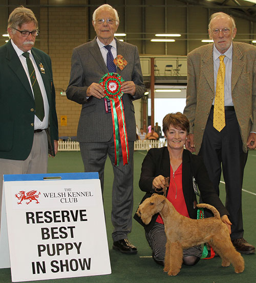 Mr R Punter, Mr M Vickers & Ms J Vickers Eskwyre Red Devil with BPIS judge Mr P Green & Mr T M Evans (Asst Show Manager)