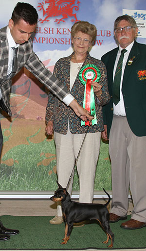 Mr D & Mrs S Santoriello & Miss J Skelton Ch Tubize Manhattan By Pinicio JW Sh.CM with group judge Mrs J Jolley & Mr T M Evans (Asst Show Manager)