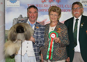 Mr A Easdon & Mr P Martin Klerkshof Desert Star At Yakee with group judge Mrs J Jolley & Mr T M Evans (Asst Show Manager) 