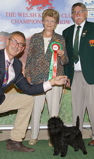 Miss R, Mrs D & Mr M Gadsby & Isherwood Am Ch Donnybrook's Jack Tamarin (Imp USA) with group judge Mrs J Jolley & Mr T M Evans (Asst Show Manager)