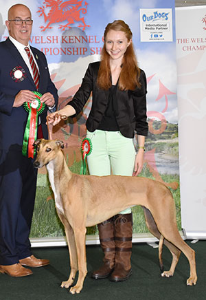 Mrs C J Rishworth & Miss H H Rishworth Out Of The Blue Ad Honores (Imp) with puupy group judge Mr N Gourley 