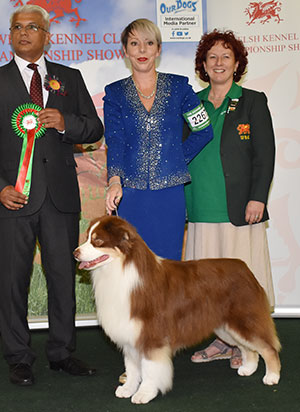 Mrs K Kirtley & Mrs D Erdesz AKC ASCA Ch Wyndstar Magic Marker with group judge Mr T Nagrecha & Miss A Rees (Committee)