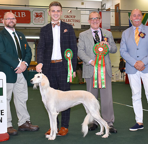 Mr B Mansell, Mrs J Duddell & Mr L Johnston Ch Canerikie Catalina with BIS judge Mr J Daltrey & Mr A Van Den Broek (Saluki judge)