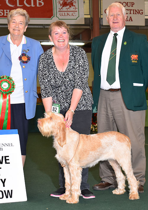 Mr & Mrs L & C Sharp Affilato All About Me with BPIS judge Mrs L Cartledge & Mr A G Fall (Chairman)