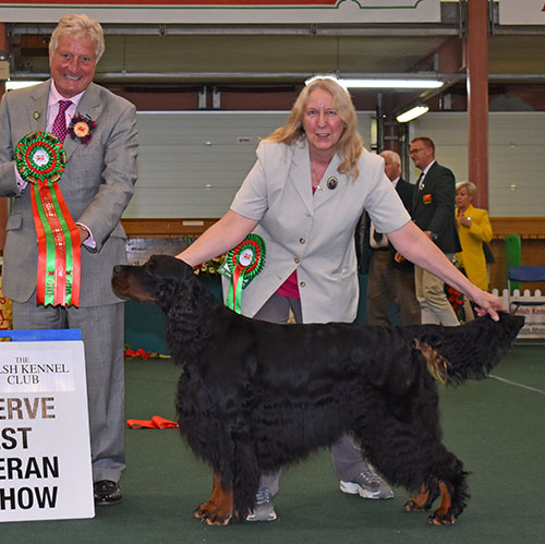 Mrs F Boxall Sh Ch Ludstar Frederick Frankenstein (Imp) It with BVIS judge Mr T Allcock 