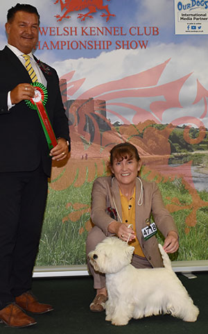 Miss M Burns & Mrs A Burns Ch Burneze Our Marnie with group judge Mr P Harding 