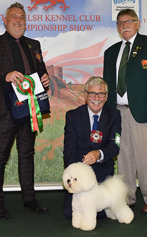 Messrs M Coad & R Smith Ch Regina Bichon You Rock My World at Pamplona with group judge Mr L Cox & Mr M Evans (Asst Show Manager)