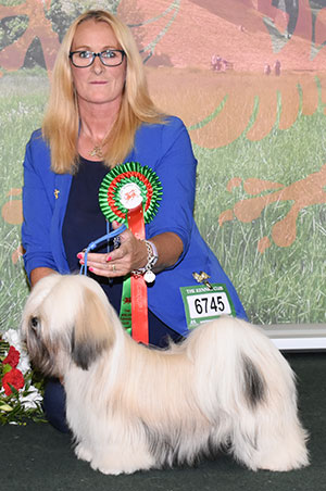 Miss D Culverhouse & Mr D Roberts Remrah High Flyer At Culversapso