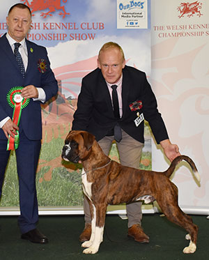 Mr M Griffiths Lanfrese Argento with group judge Mr K Young 