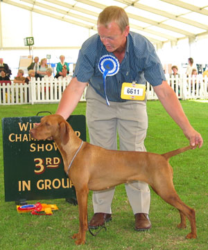 Gundog Group 3rd