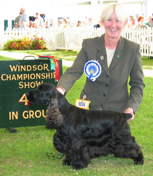 Gundog Group 4th