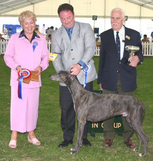 Hound Group 1st