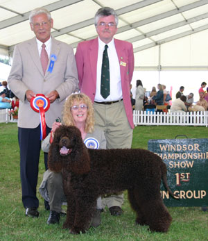 Gundog Group 1st