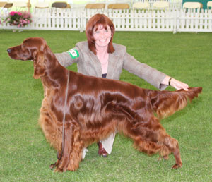 Gundog Group 3rd