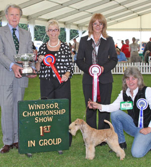 Terrier Group 1st