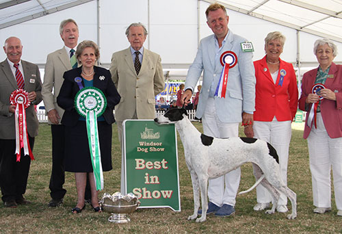 Dr E Engh & Mr A Gjetnes Multi Ch Jet's Moonlight Serenade with BIS judge Mrs G J Lilley, Mrs I Terry (Secretary) & Mr P Galvin (Royal Canin) 