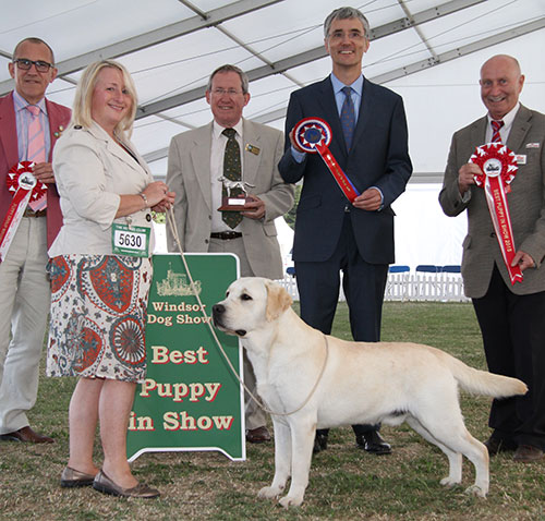 Ms S Lambert Mattand Exodus with BPIS judge Mr P R Eardley, Mr J Daltrey (Committee) & Mr P Galvin (Royal Canin)