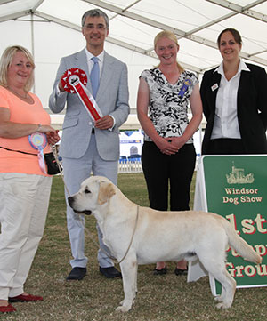 Ms S Lambert Mattand Exodus with puppy group judge Mr P R Eardley & S Sage (Royal Canin)