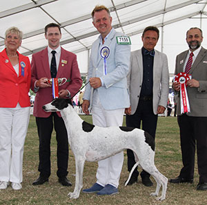 Dr E Engh & Mr A Gjetnes Multi Ch Jet's Moonlight Serenade with group judge Mrs J E Pain, Mr M Walden (Committee) & Mr A Bongiovanni (Royal Canin)