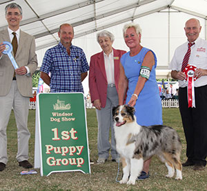 A Allan, R Harlow & McClure M Allmark New Proposal with puppy group judge Mr P R Eardley, Mrs I Terry (Secretary) & Mr P Galvin (Royal Canin) 
