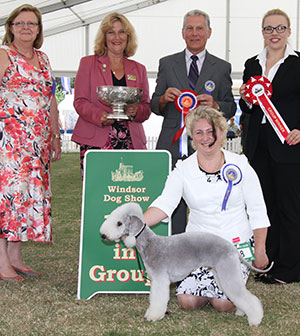 Mrs E Pykhtar L'end Show Metti Surprise At Glare with group judge Mr D G L Winsley, Mrs S Wilkinson (Committee) & L Carter (Royal Canin)