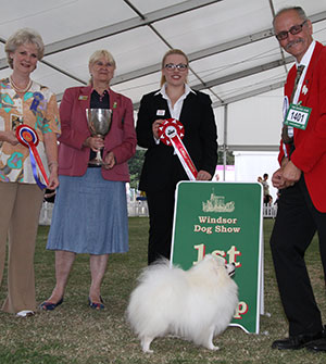 Mr S C Wright Ch Minigarden Emil Lovely Boy (Imp) with group judge Mrs J Kitchener, Mrs B-M Young (Committee) & L Carter (Royal Canin) 
