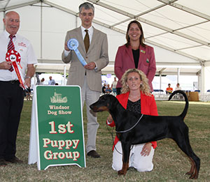 Mrs & Miss J A & V L Ingram Jojavik Penelope Pitstop with puppy group judge Mr P R Eardley, Mrs H Hutchings Brooks (Committee) & Mr P Galvin (Royal C)