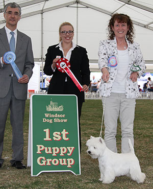 Miss M Burns & Mrs A Burns Burneze Geordie Girl with puppy group judge Mr P R Eardley & L Carter (Royal Canin) 