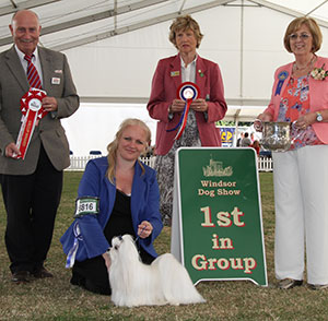Miss N Welbourn Ch Zumarnik Stars N Stripes with group judge Mrs C L Rose, Mrs A Lavelle (Committee) & Mr P Galvin (Royal Canin) 