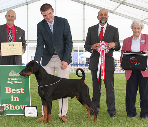 rs J A Ingram & Miss V L Ingram Ch & Ir Ch Jojavik Midnight Express JW Sh.CM with BIS judge Mr B Reynolds-Frost & Mrs I Terry (Secretary)