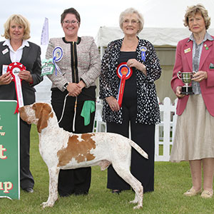 Mrs O Nagy-Kovencz Serb & Rom Ch Polcevera's Ercole with group judge Mrs J Richards, Mrs A Lavelle (Committee) & M Masterman (Royal Canin) 