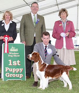 Mr J S Thirlwell Ferndel Glenfiddick with puppy group judge Mr T Mather, Mrs A Lavelle & M Masterman (Royal Canin)