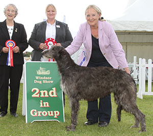 Miss S L Finnett & Miss N Heathcote Hyndsight Because The Night with group judge Mrs J Startup & A Morton (Royal Canin)