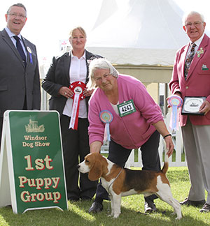 Miss P A Sutton Rossut Endeavoured with puppy group judge Mr T Mather, Mr J Reymond (Treasurer) & A Morton (Royal Canin) 