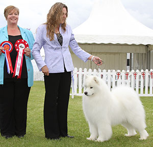 Mrs A Kirkwood & Miss N J Carruthers Ch Vandreem Imperial Cruz 