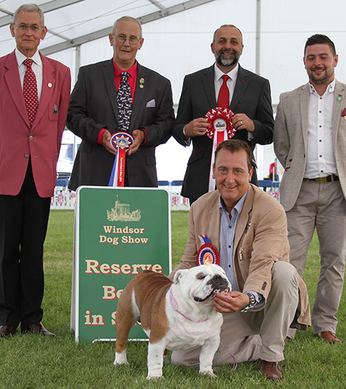 Mr & Mrs P & H Seal Ch Sealaville He's Tyler with BIS judge Mr B Reynolds-Frost, Mr G King (Chief Steward) & Mr A Bongiovanni (Royal Canin)