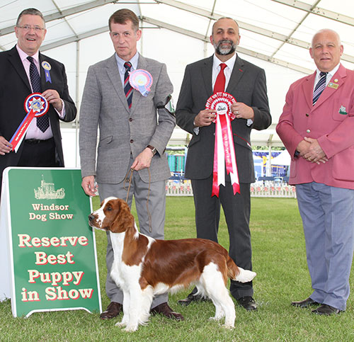 Mr J S Thirlwell Ferndel Glenfiddick with BPIS judge Mr T Mather, Mr R Strudwick (Committee) & Mr A Bongiovanni (Royal Canin)