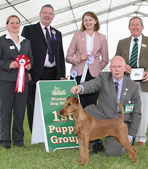 Mr I Hemmingsr & Mrs S Grant Courtington Storm Angel (ai) TAF with puppy group judge Mr T Mather, Mr S Dean (President) & S Holt (Royal Canin)