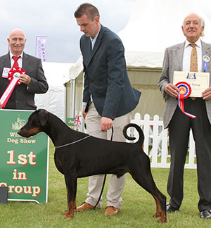 Mrs J A Ingram & Miss V L Ingram Ch & Ir Ch Jojavik Midnight Express JW Sh.CM with group judge Mr R Newhouse & Mr P Galvin (Royal Canin) 